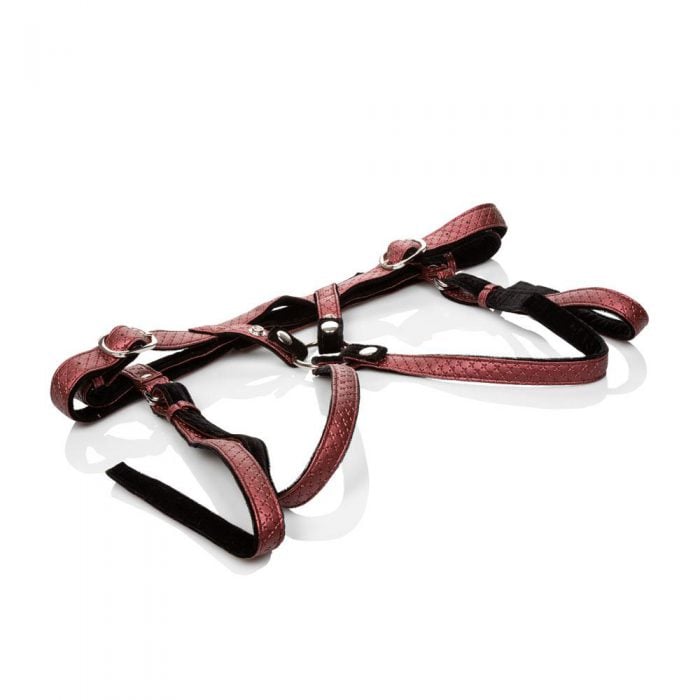Her Royal Harness the Regal Duchess - Red